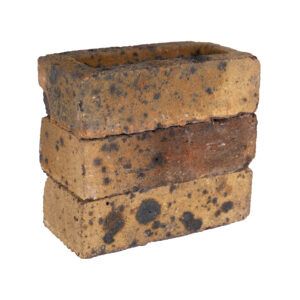 BR3683 MBH PLB FLB Danehill Yellow sample 1