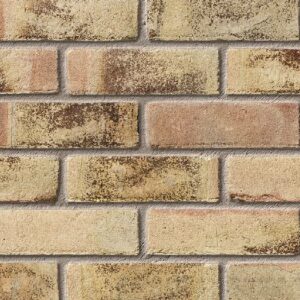 BR8761 bstock Funton Harvest Mixture main