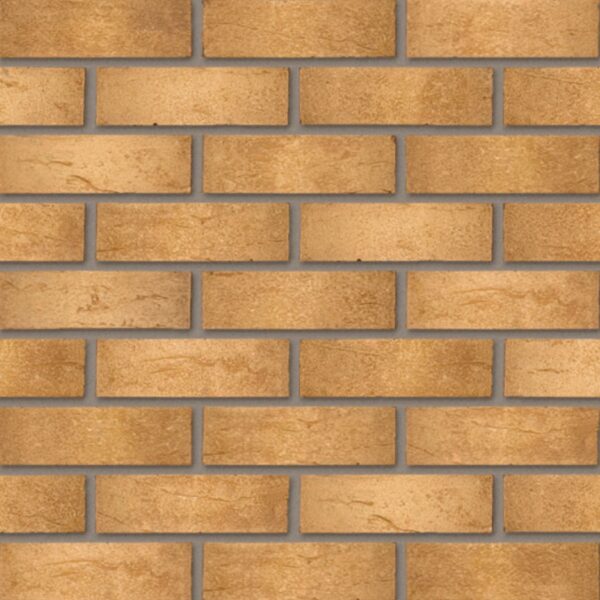 Wienerberger Warm Golden Buff Wirecut Facing Brick Pack of 500