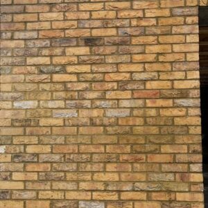 BR2454-TBS Highgrove Yellow – slips project2