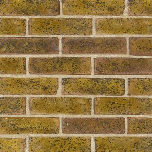 TBS Daneshill Yellow Brick Slips