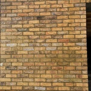 Home BR7020-TBS Highgrove Yellow-project