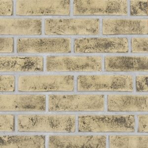 TBS Historic Light Blend Brick Slips